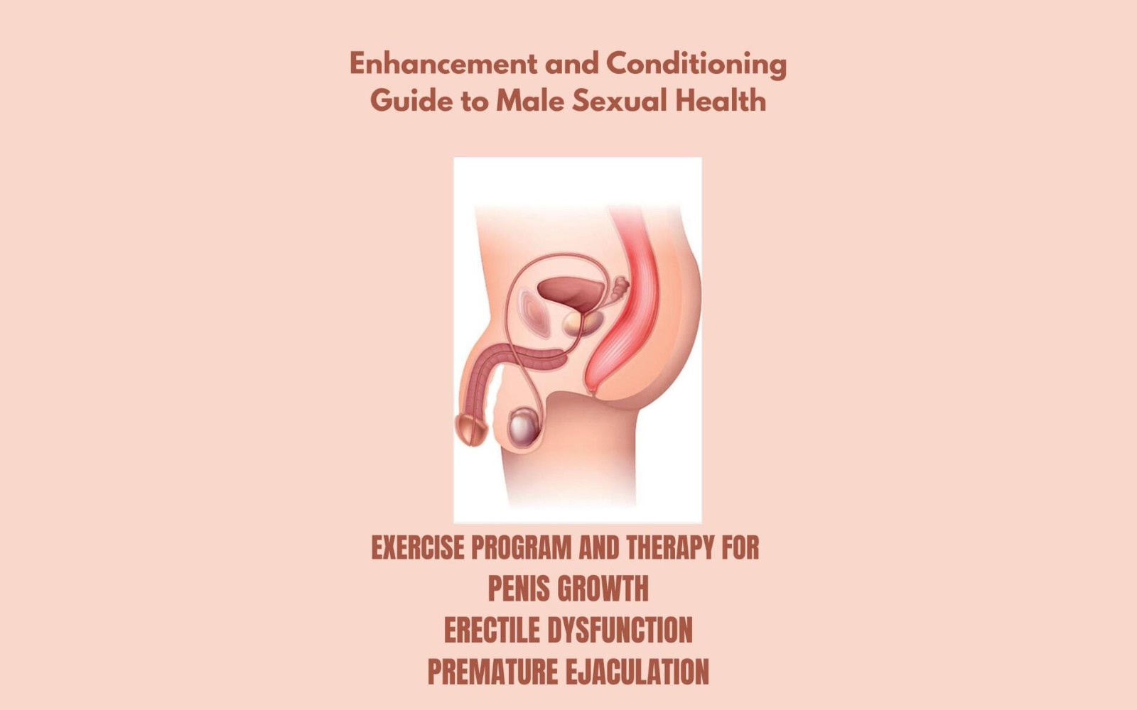 Male_Sexual_Health_Guide_2026 EN version