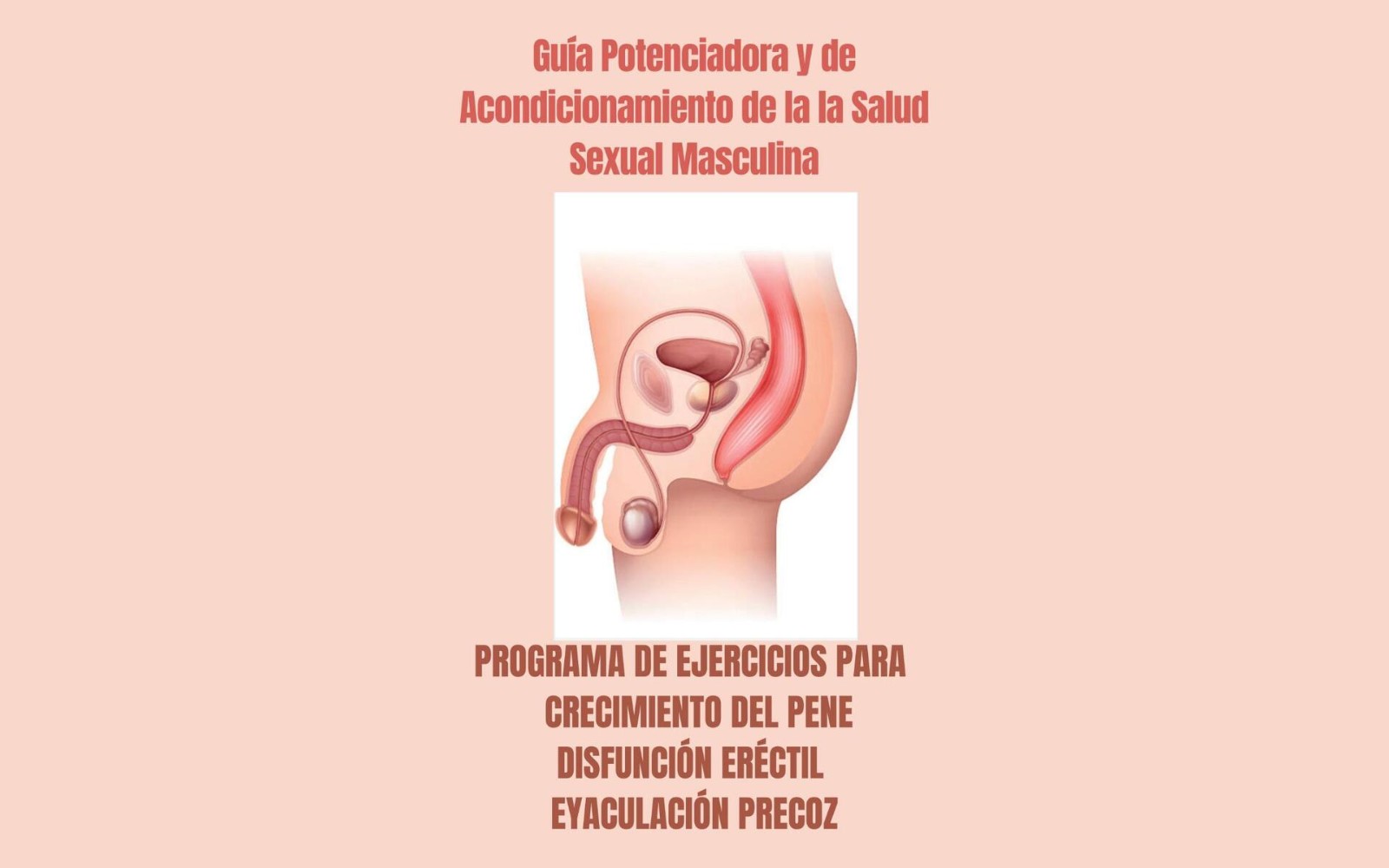 Guía Potenciadora y de Acondicionamiento de la Salud Sexual Masculina 2026 ES version