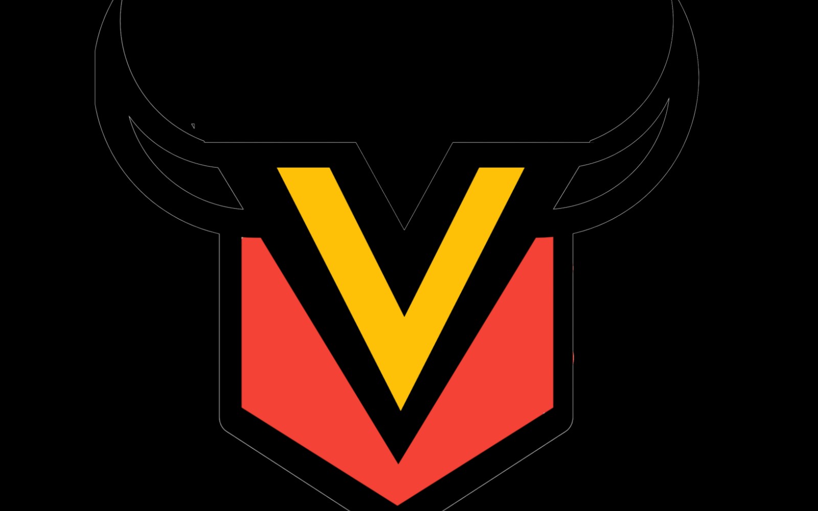 Professional Logo Design