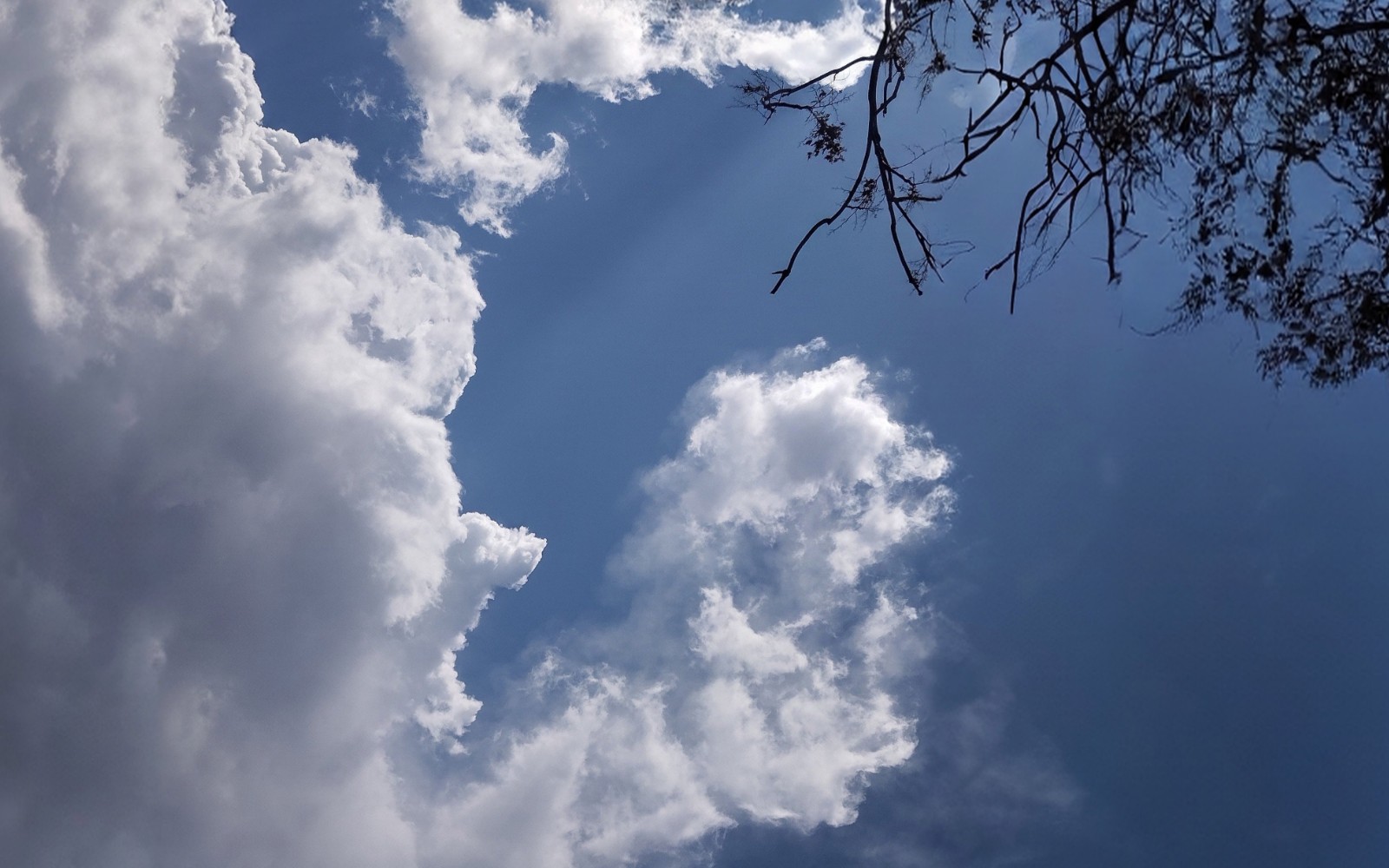 Nature's Hidden Portrait